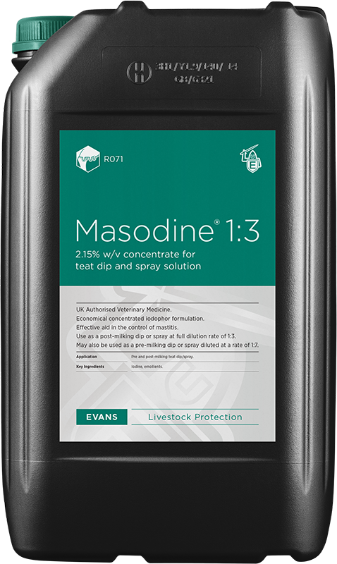 Masodine® 1:3