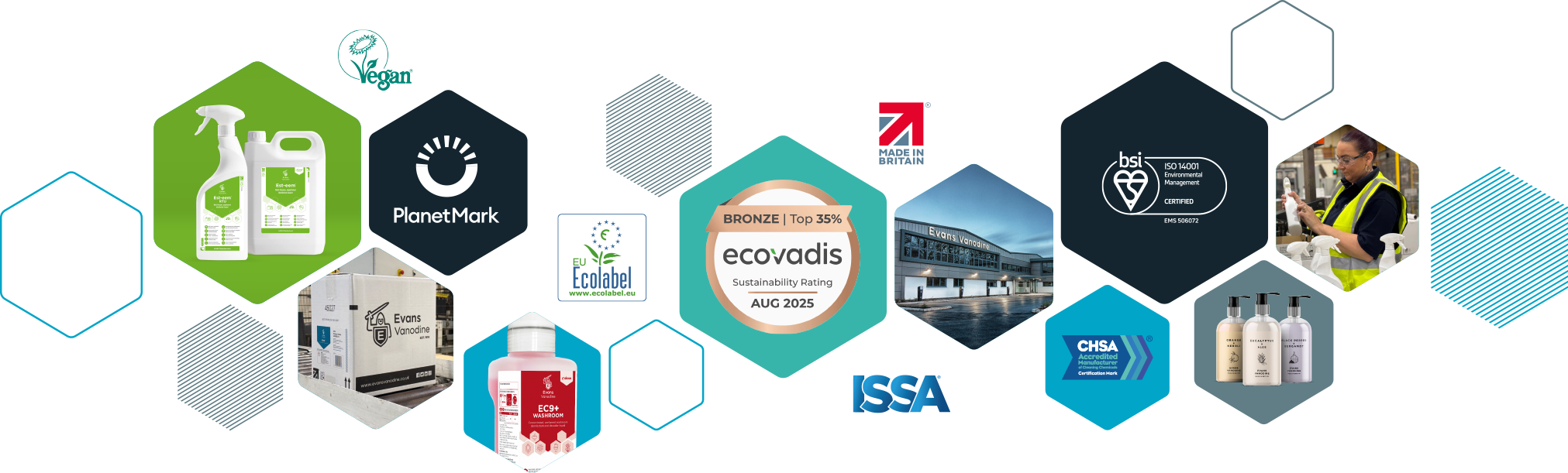 Our Vision for the Future